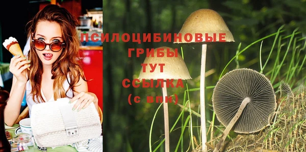 PSILOCYBIN Балахна