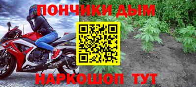 шишки Донской