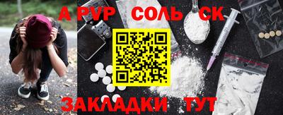 шишки Донской