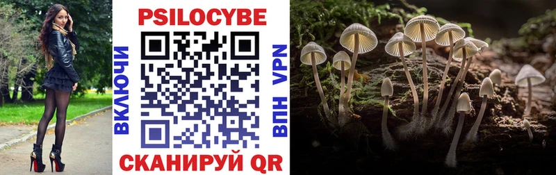 Псилоцибиновые грибы MAGIC MUSHROOMS  сайты даркнета состав  Мурманск 