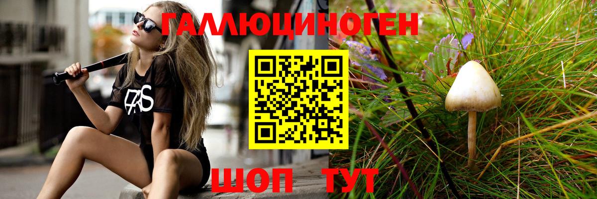 Мурманск  Галлюциногенные грибы Cubensis  Вход с VPN 